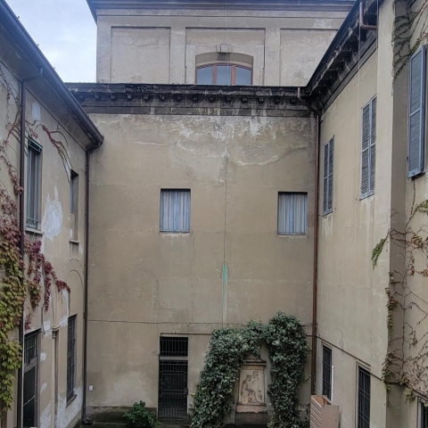 immagine 7