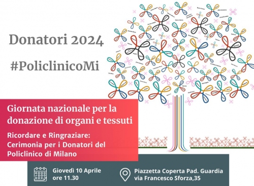 notizia