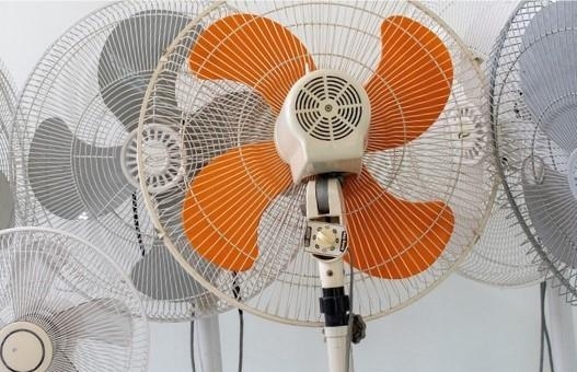 notizia