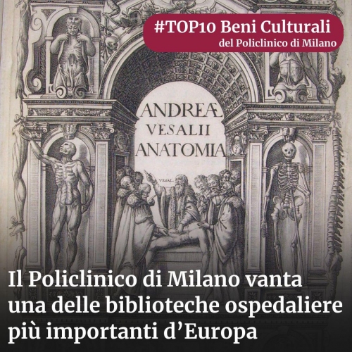notizia