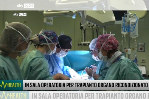 notizia