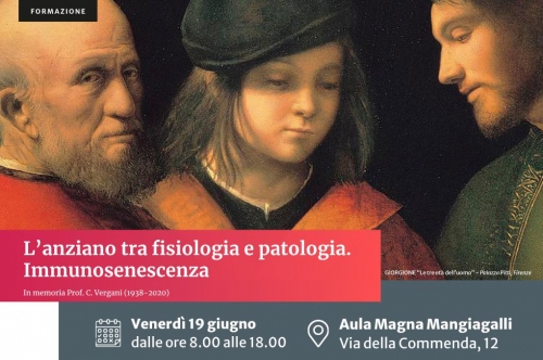 notizia