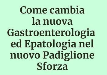 notizia