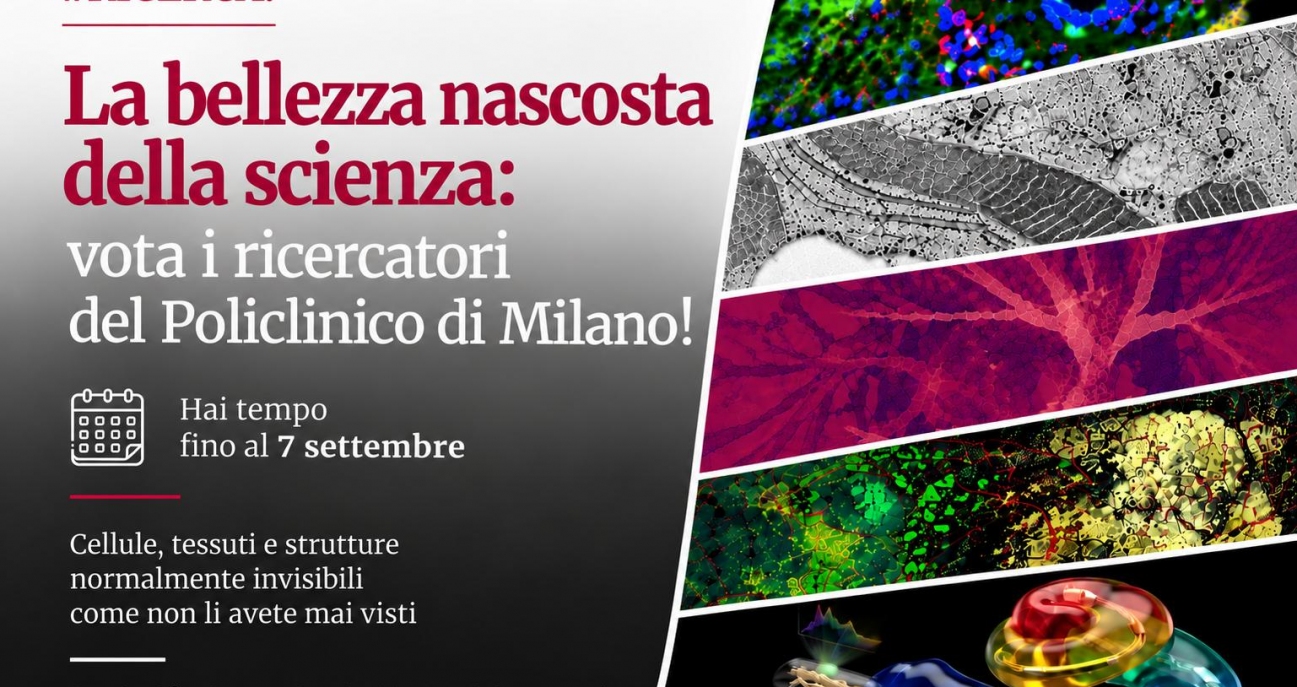 notizia