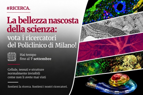 notizia