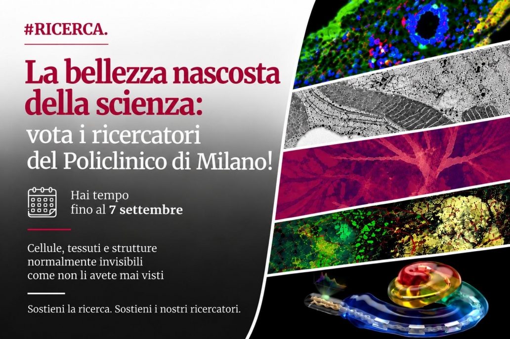 notizia