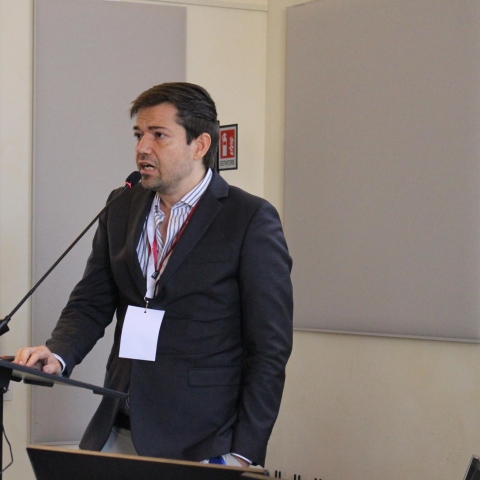 immagine 30
