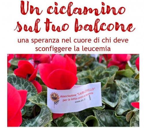 notizia