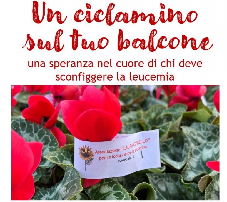 notizia