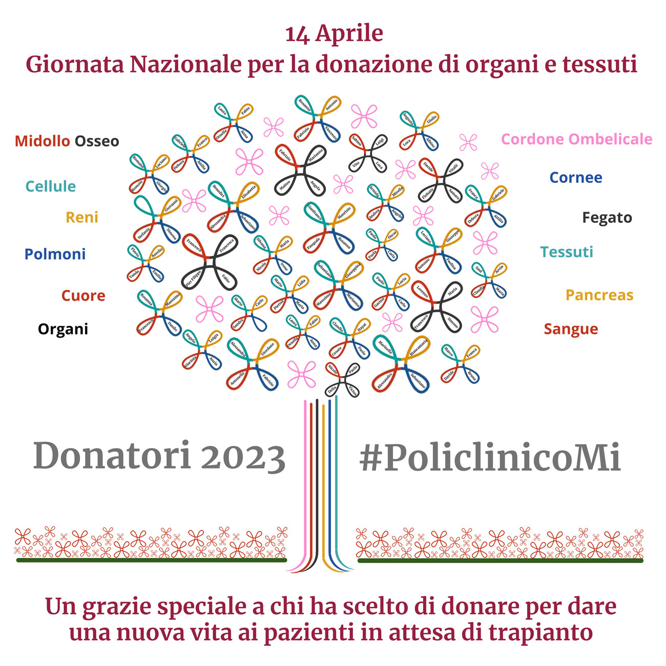 14 Aprile 2024 Giornata Nazionale per la donazione di organi e tessuti