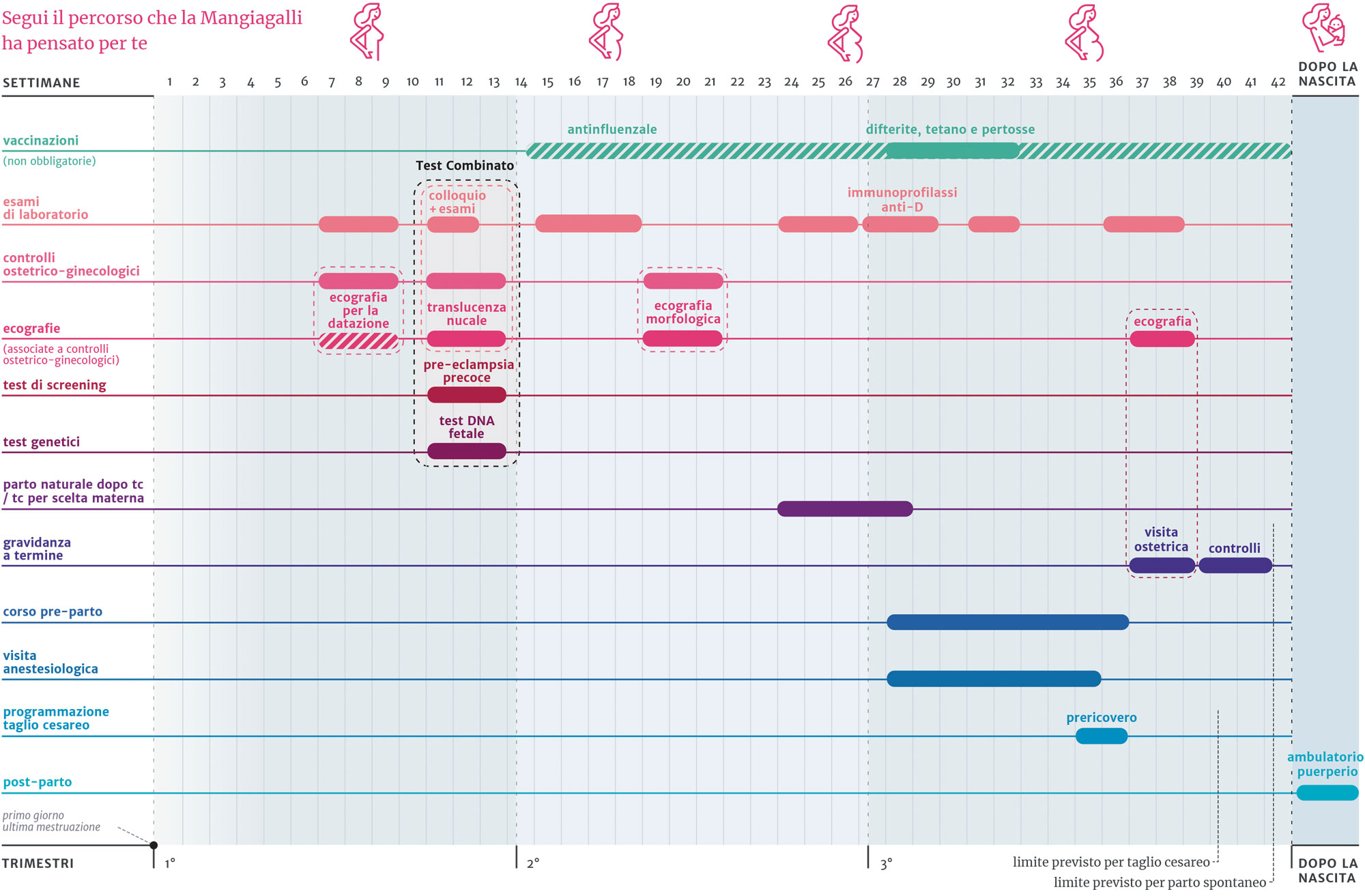 calendario gravidanza visite ecografie