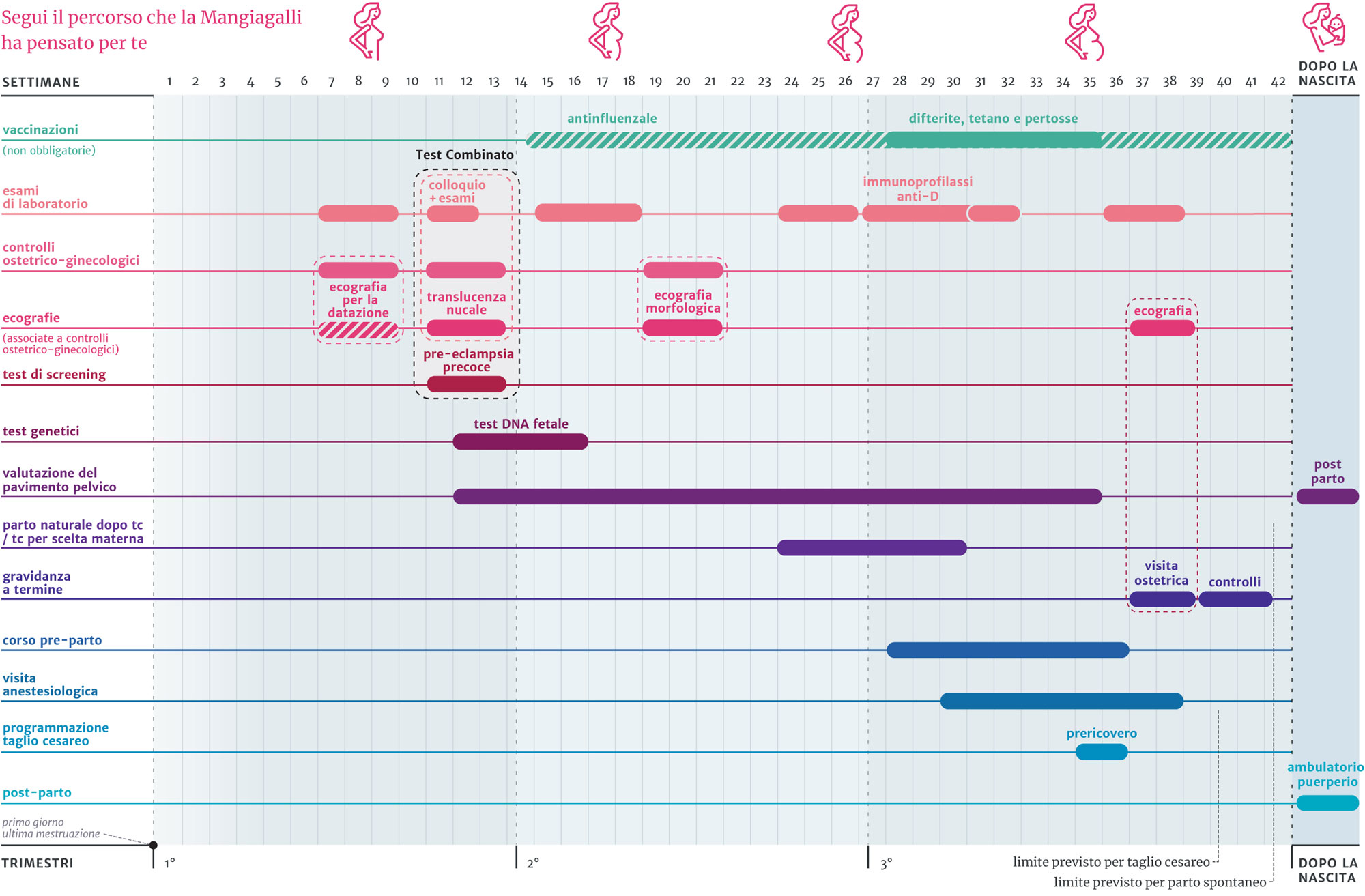Calendario della gravidanza