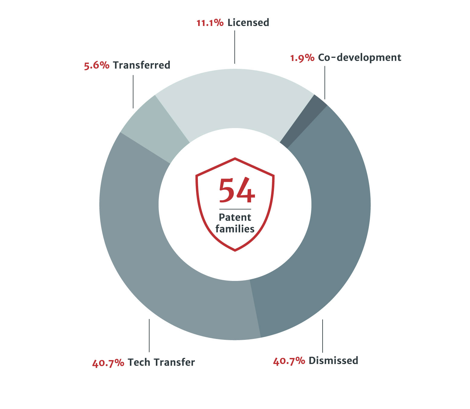 Patent Portfolio Status