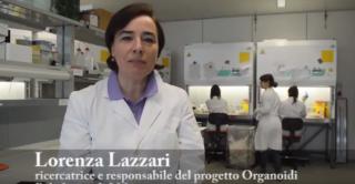 notizia