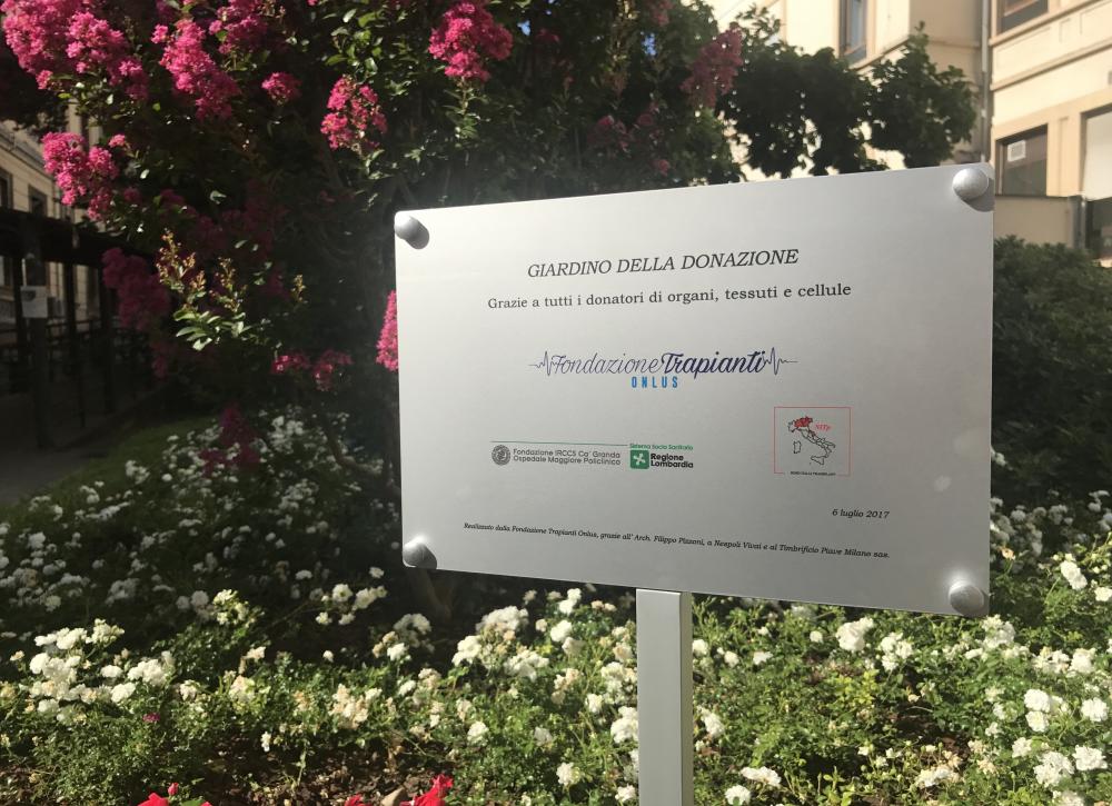 notizia