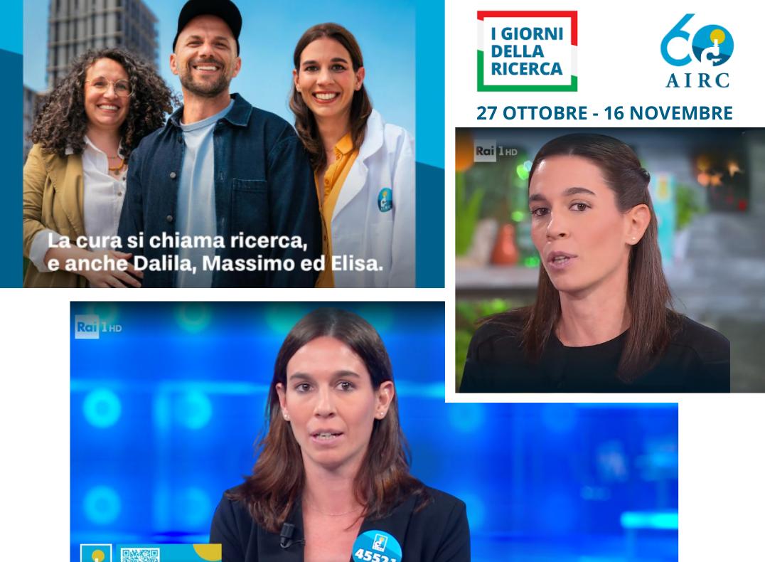 notizia