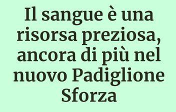 notizia