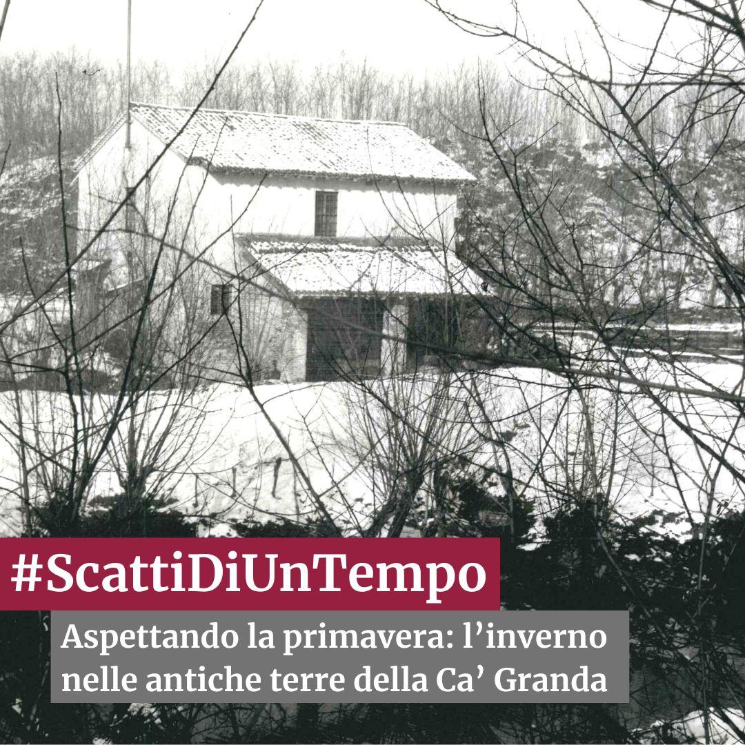 notizia