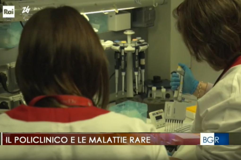 notizia