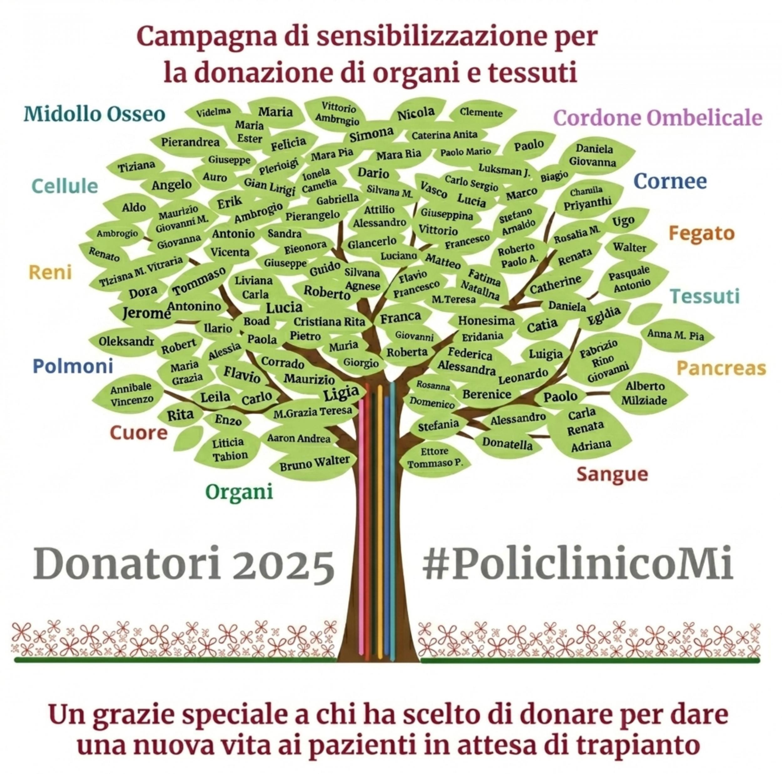 notizia