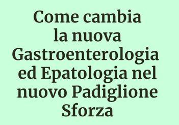 notizia