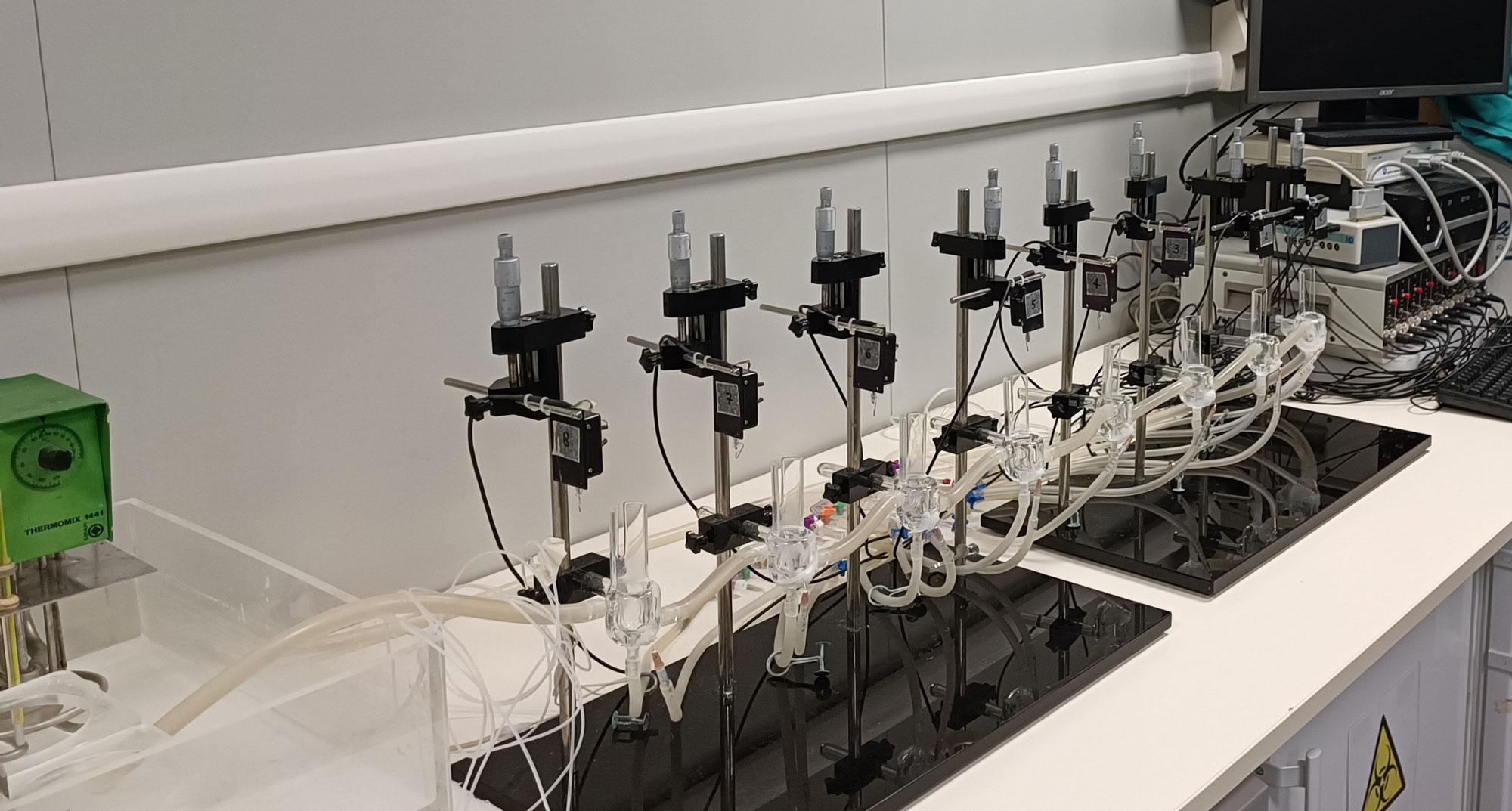 preclinical-research