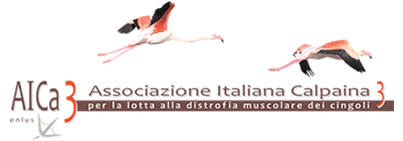 aica-3-associazione-italiana-calpaina-3-onlus