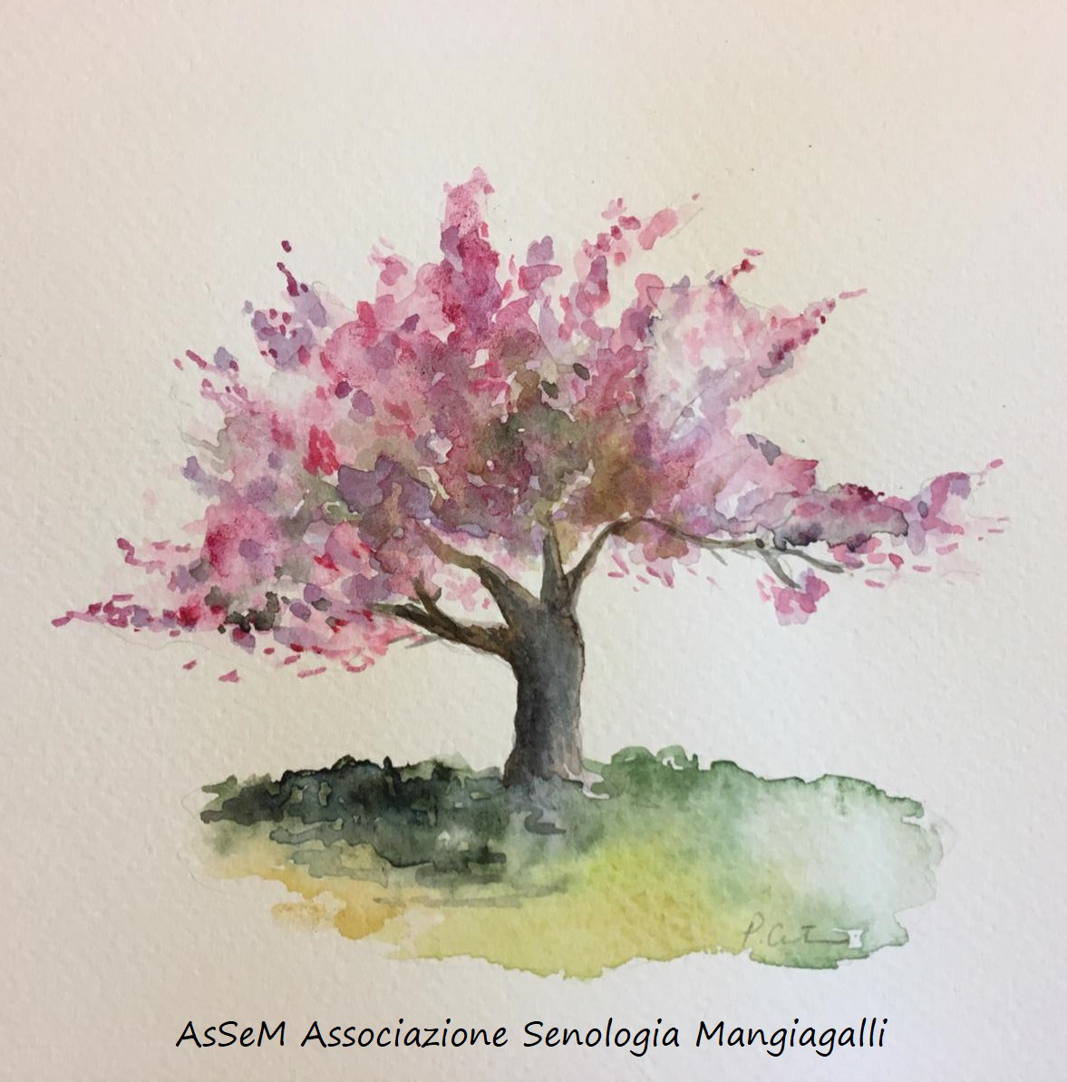 assem-associazione-senologica-mangiagalli