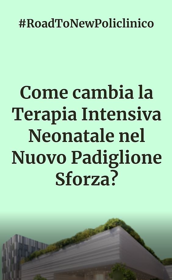 TIN sforza